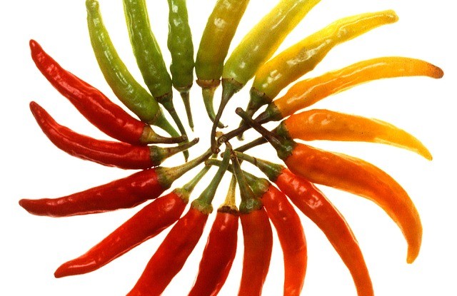 buntes Chili
