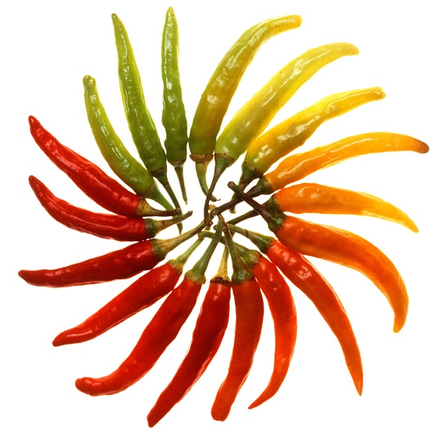 Chili bunt buntes Chili