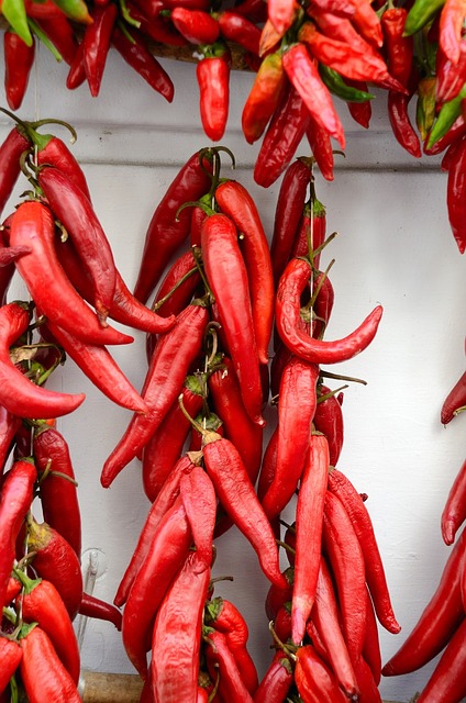 Chilischote Chilischote